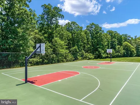 10121 Pale Rose Loop, Bristow, VA 20136 photo 54