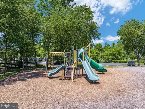 10121 Pale Rose Loop, Bristow, VA 20136 photo 58