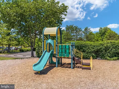 10121 Pale Rose Loop, Bristow, VA 20136 photo 59