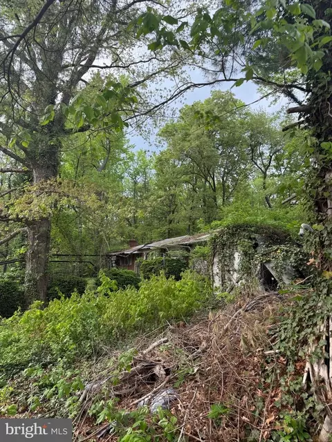 4204 Meyers Rd, Triangle, VA 22172 photo 5