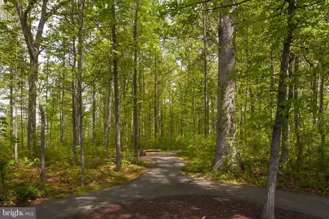 10544 Blazing Star Loop, Bristow, VA 20136 photo 63