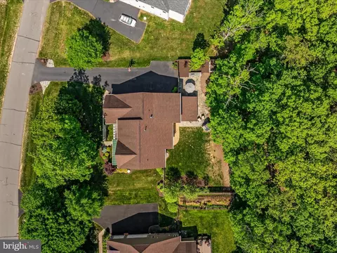 View/Area - 14475 Bluff Point Ct, Gainesville, VA 20155 photo 3 of 9