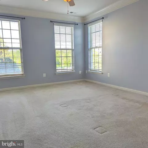 Other - 7848 Cedar Branch Dr, Gainesville, VA 20155 photo 14 of 37