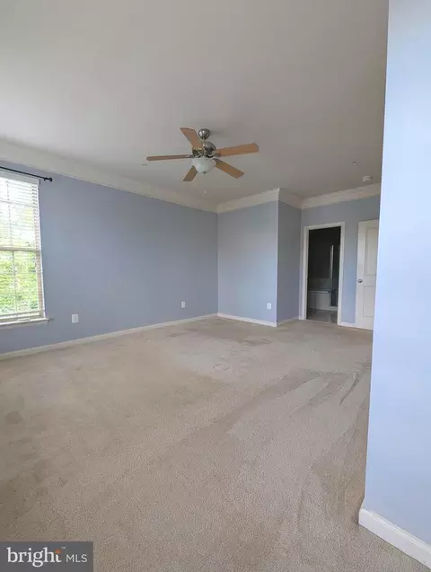 Other - 7848 Cedar Branch Dr, Gainesville, VA 20155 photo 12 of 37