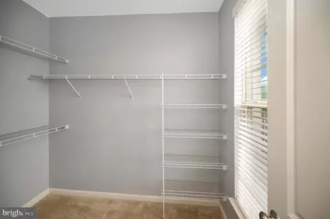 Other - 7848 Cedar Branch Dr, Gainesville, VA 20155 photo 11 of 37