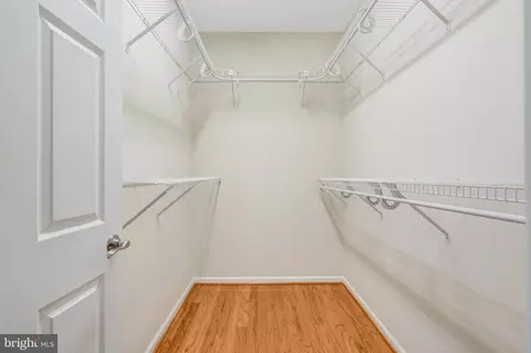 13717 Currant Loop, Gainesville, VA 20155 photo 28