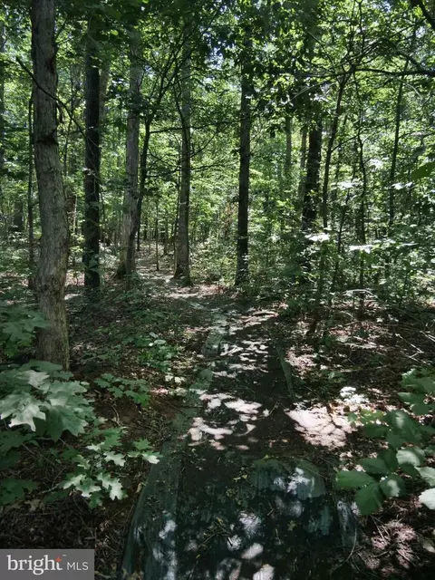 Other - 15152 Santander Dr, Gainesville, VA 20155 photo 19 of 23