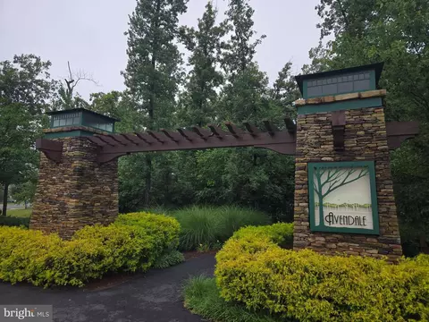 12141 Aster Rd, Bristow, VA 20136 photo 60
