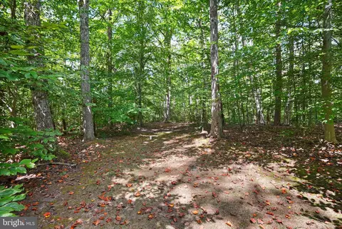 Exterior - 6040 Token Forest Dr, Manassas, VA 20112 photo 20 of 20