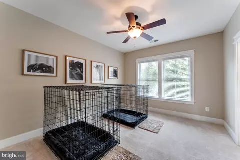 Bedroom - 14428 Eagle Island Ct, Gainesville, VA 20155 photo 4 of 6