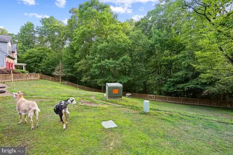 Exterior - 15050 Rumson Pl, Manassas, VA 20111 photo 9 of 10