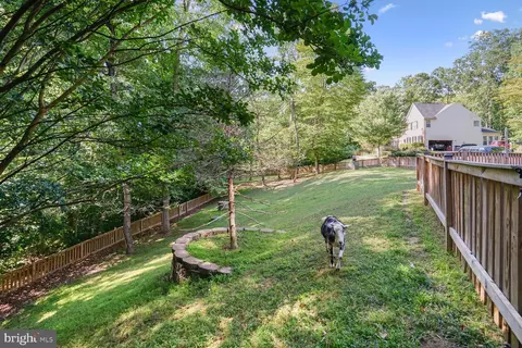 Exterior - 15050 Rumson Pl, Manassas, VA 20111 photo 10 of 10
