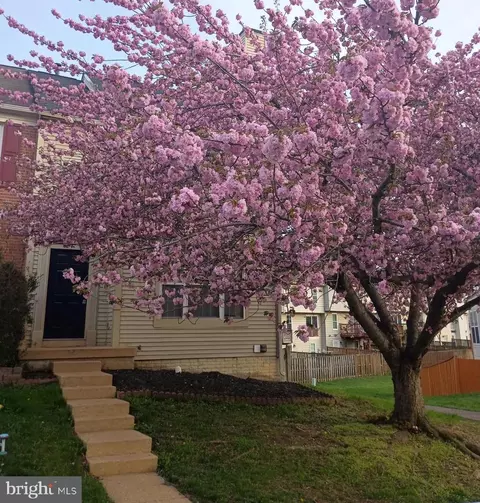 3429 Tuckahoe Ct, Dumfries, VA 22026