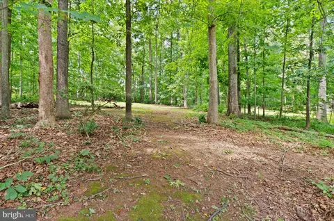 Exterior - 4560 Lynn Forest Dr, Gainesville, VA 20155 photo 22 of 22