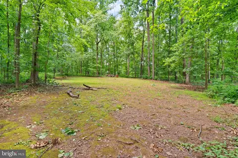 Exterior - 4560 Lynn Forest Dr, Gainesville, VA 20155 photo 17 of 22