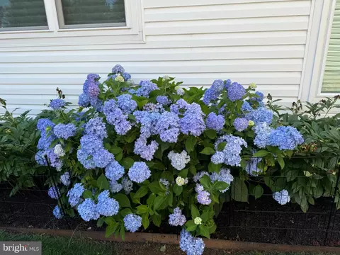 Other - 8958 Junco Ct, Gainesville, VA 20155 photo 29 of 29