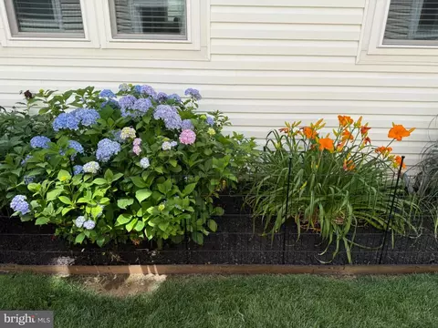 Exterior - 8958 Junco Ct, Gainesville, VA 20155 photo 6 of 6