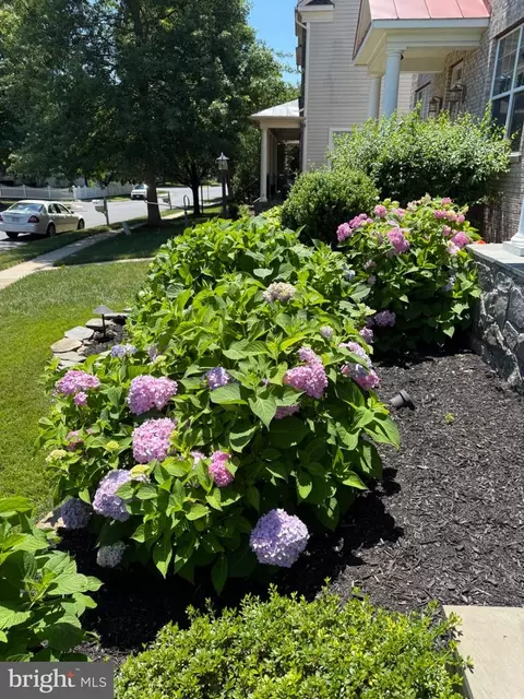 Exterior - 8958 Junco Ct, Gainesville, VA 20155 photo 5 of 6
