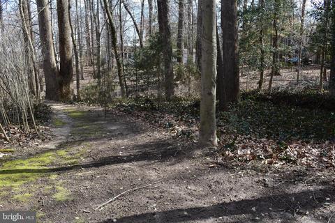 18406 Beech Ln, Triangle, VA 22172 photo 55
