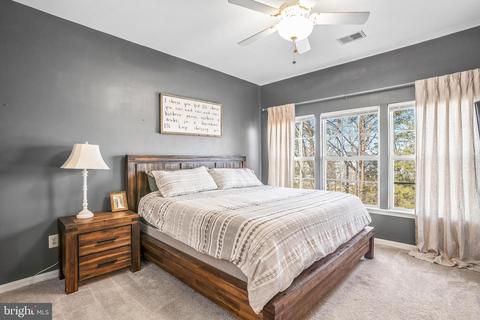 10123 Pale Rose Loop, Bristow, VA 20136 photo 14