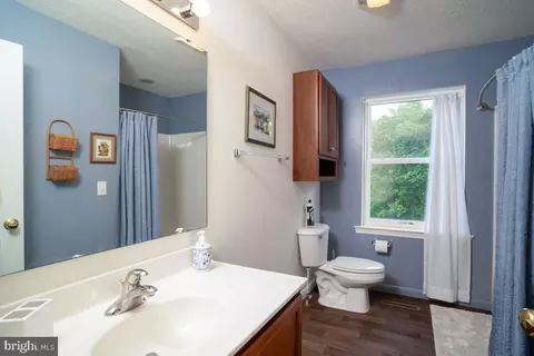 Bath - 190 Ridgemore Dr, Raphine, VA 24472 photo 1 of 1