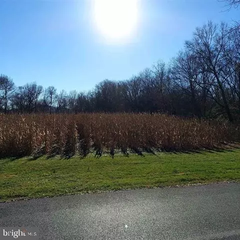 Tbd Wirt Ave, Elkton, VA 22827