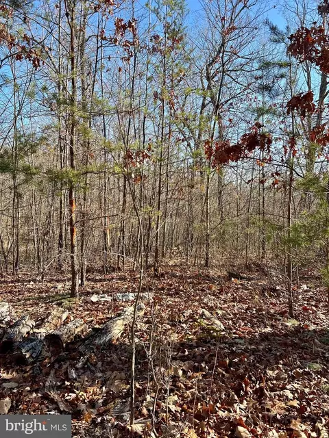 tbd 53 Miracle Springs Rd, Elkton, VA 22827