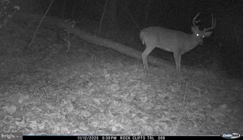 Hopkins Gap Rd, Fulks Run, VA 22830