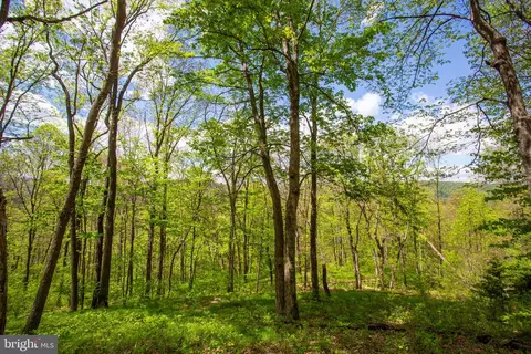 0 Church Mountain Ln, Fulks Run, VA 22830