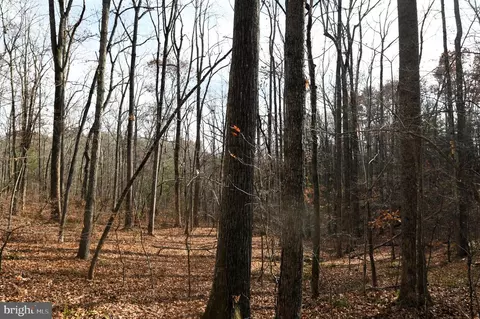 Middle Of No Way, Castleton, VA 22716