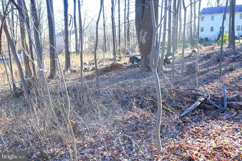 Apache Trail, Chester Gap, VA 22623