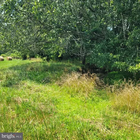 Tiger Valley Rd, Washington, VA 22747 photo 14