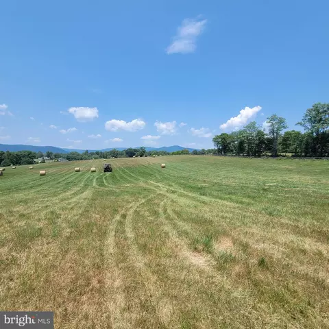 Tiger Valley Rd, Washington, VA 22747 photo 10