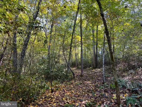 243 Aaron Mountain Rd, Castleton, VA 22716 photo 48