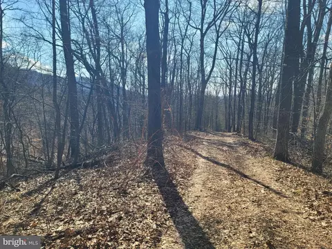 Wolf Mountain Lane, Washington, VA 22747