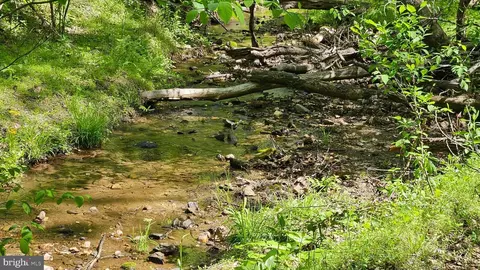 559 Bessie Bell Mountain Rd, Castleton, VA 22716 photo 72
