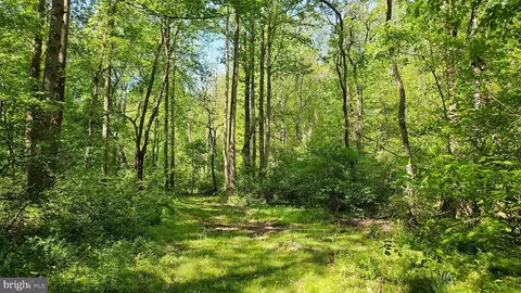 559 Bessie Bell Mountain Rd, Castleton, VA 22716 photo 70