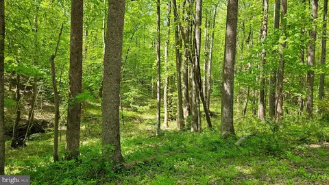 559 Bessie Bell Mountain Rd, Castleton, VA 22716 photo 73