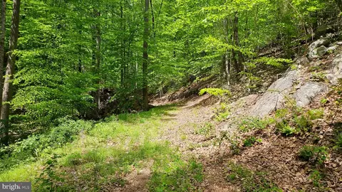 559 Bessie Bell Mountain Rd, Castleton, VA 22716 photo 76