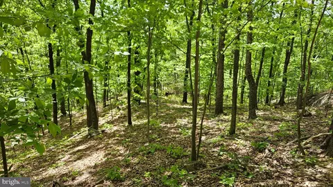 559 Bessie Bell Mountain Rd, Castleton, VA 22716 photo 75