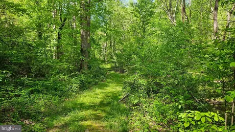 559 Bessie Bell Mountain Rd, Castleton, VA 22716 photo 69