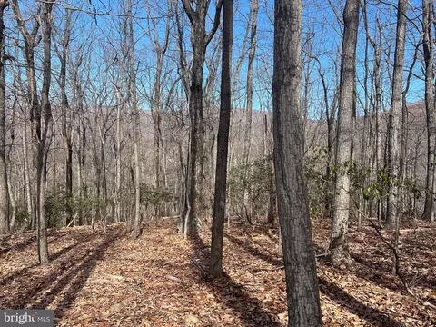 Crimm's Run Lane, Washington, VA 22747