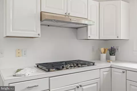 Other - 274 Aaron Mountain Rd # A, Castleton, VA 22716 photo 5 of 28