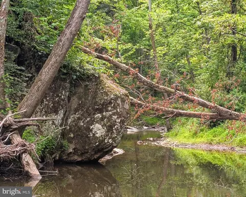 Other - 176 Rock Mills Rd, Castleton, VA 22716 photo 3 of 16