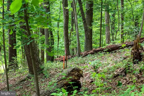 tbd Comptons Rd, Castleton, VA 22716 photo 24