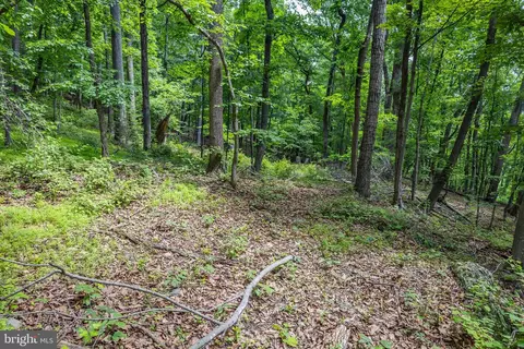 tbd Comptons Rd, Castleton, VA 22716 photo 19