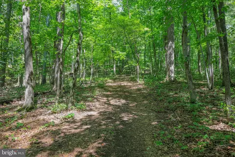 tbd Comptons Rd, Castleton, VA 22716 photo 30