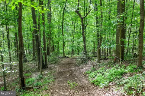tbd Comptons Rd, Castleton, VA 22716 photo 14