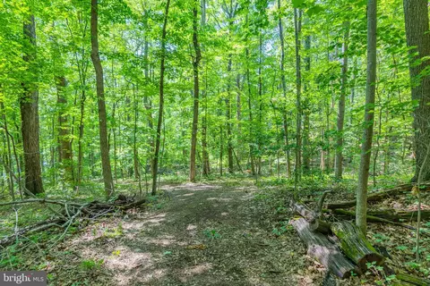 tbd Comptons Rd, Castleton, VA 22716 photo 29