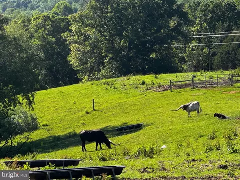 Other - 59 Harry Settle Rd, Castleton, VA 22716 photo 23 of 34
